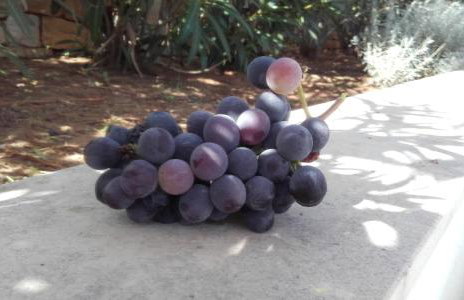 Villa SARA - Photo 28