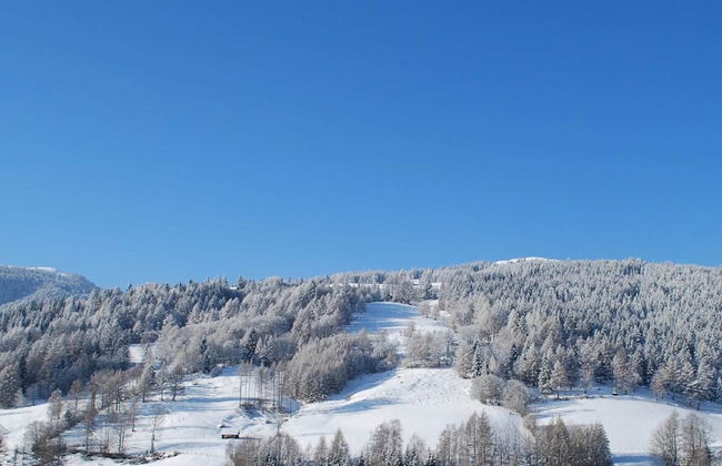 Apartment in Rennweg Near Katschberg Ski Area - Foto 22