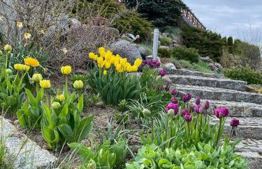 Agroturystyka "U Klaudii" - Foto 17