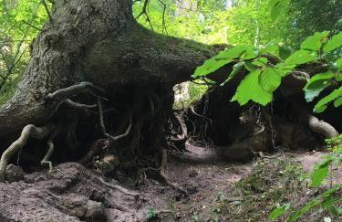 GreenHolidays - Foto 41