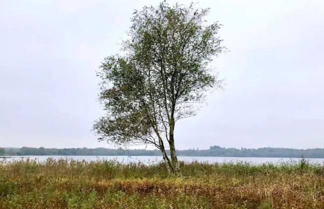 Luxury Lakeside Retreat-by Traum - Foto 26