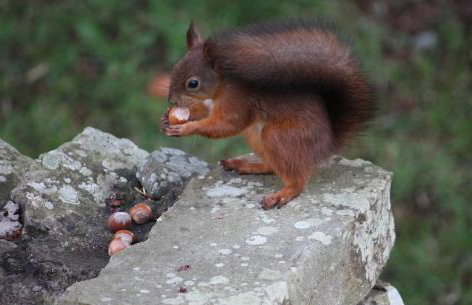 Cross Haw Cottage - Foto 28