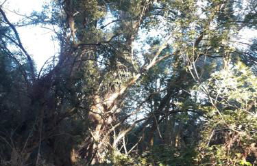 La Fresneda de Polendos - Foto 18