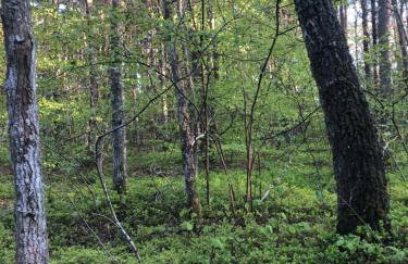 Apartament Kalimera - Foto 65