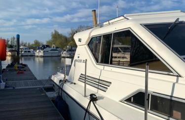 The River Thames - Surrey Boat - Foto 3