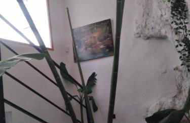 Coves Del Xuquer - Foto 36