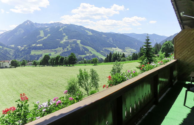 Bergkamerad - Foto 21