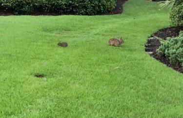 Palm Coast, FL 2BD 2BR Beach Villa! Walk to the Ocean! - Foto 70