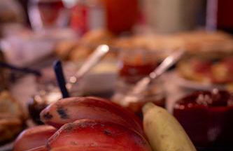 Figueira do Rio do Boi Com Hidromassagem - Foto 42