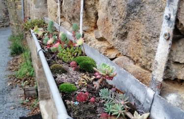 maison de pécheur typique presqu’île Saint Jacut Sur Mer - Foto 39