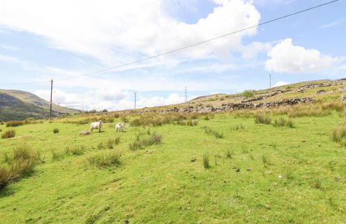 Craig Yr Ronwy - Foto 39