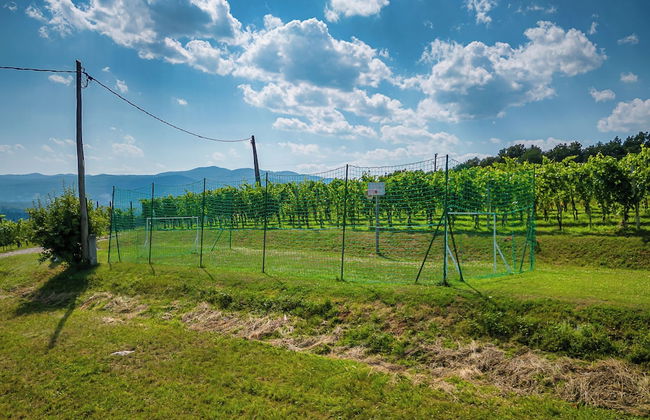 Vineyard Cottage Lan On The Hill - Foto 9