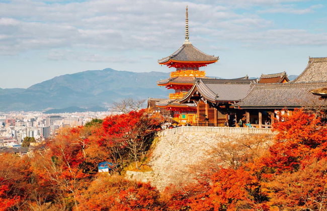 Tour privado por Kyoto - Foto 6