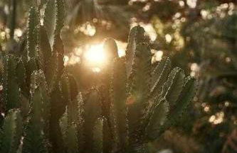 Soulhouse Marbella, exclusiva villa galardonada - Foto 41