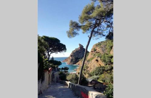 Le Repaire de la Cadière à 5mn des plages ! - Foto 40