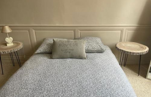 Hôtel particulier Champenois - Foto 38