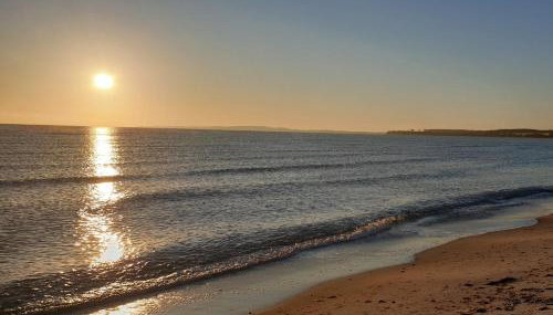 Der kleine Fuchshof mit Hund, Pferd und Huhn - Foto 2