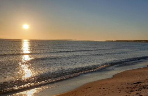 Der kleine Fuchshof mit Hund, Pferd und Huhn - Photo 2