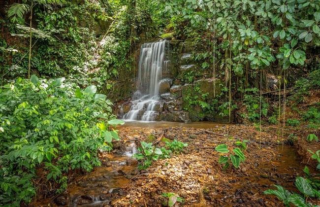 Colinas Tinamastes - Foto 55