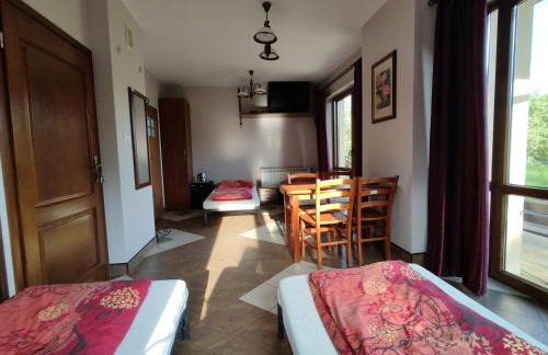 Willa Dzika Róża - Foto 4