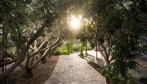 Apartment Toni - Foto 3