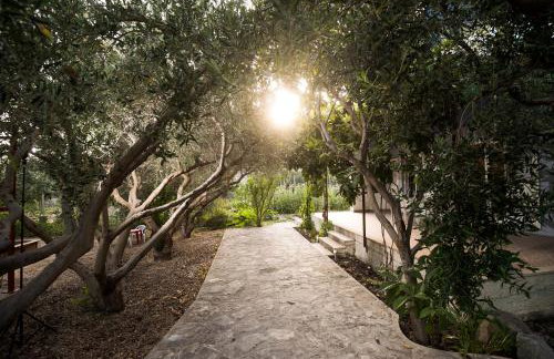 Apartment Toni - Foto 3