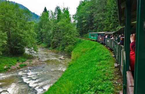 Domek Skowronek z basenem - Foto 36