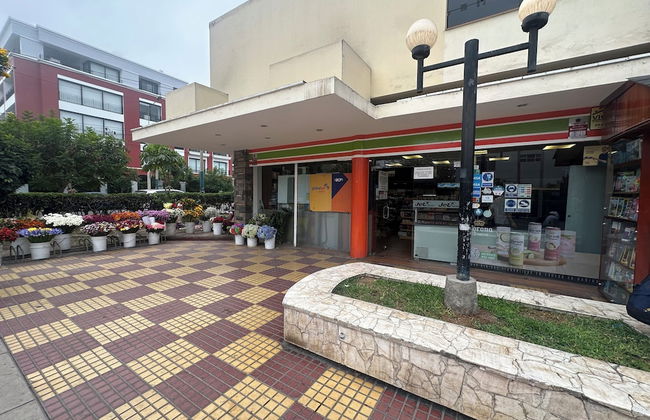 Executive Apartment San Isidro Business - Foto 49