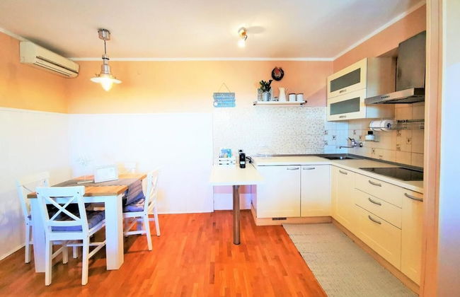 Tiny Shell House - Photo 7