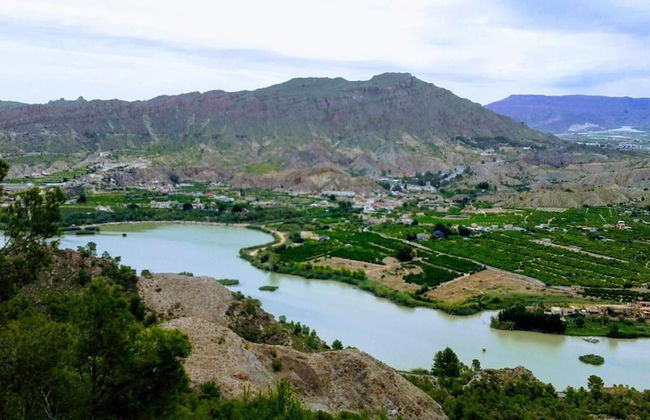 La Joya del Valle de Ricote - Photo 53