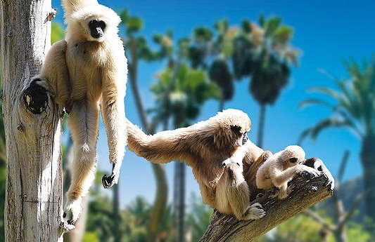 Palmitos Park - Foto 5