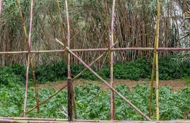 Terra Lodge - Photo 41