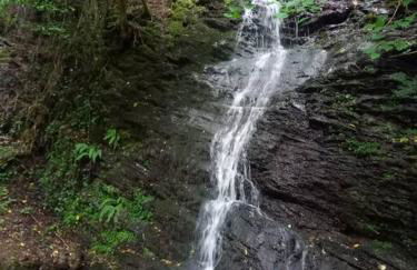 Fachwerk-Romantik 1 an der Mosel - Foto 19