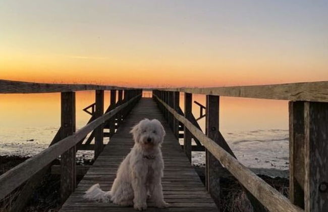 Fischerstuv Modern Retreat - Photo 27