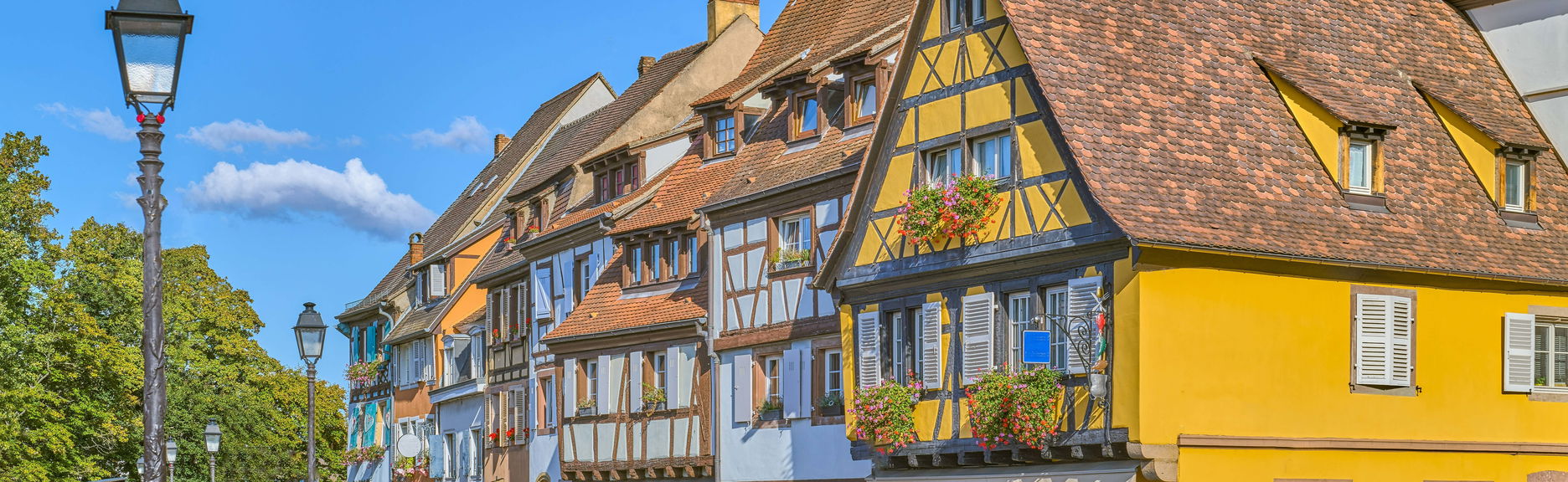 Colmar Private Walking Tour - Foto 1