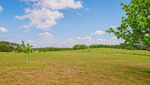 Ferienwohnung Zislow - Foto 2