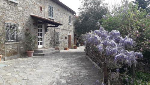 Il Fico di Cortona - Foto 4, Garden