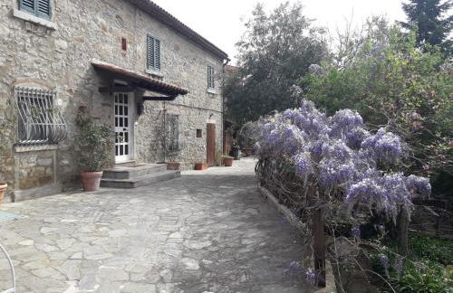 Il Fico di Cortona - Foto 4