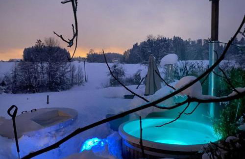 Tiny House Alpenpanorama Chalet Igluhut - Foto 8