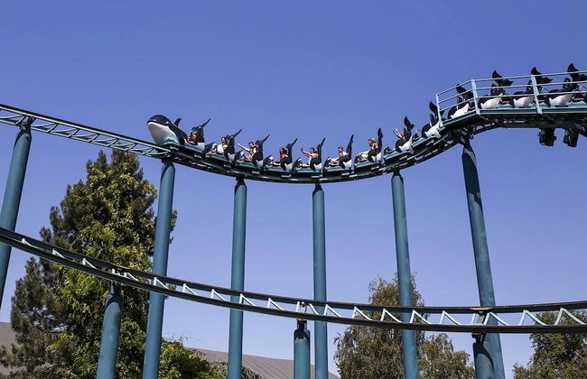 Pet-friendly Zeeland Getaway - Foto 28