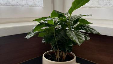 Ostoja Brzozowa - Foto 3