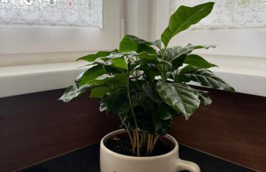 Ostoja Brzozowa - Foto 3