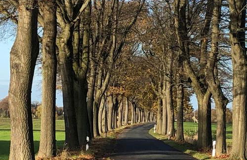 NEU! Ferienidyll Nähe Plauer See - Foto 8