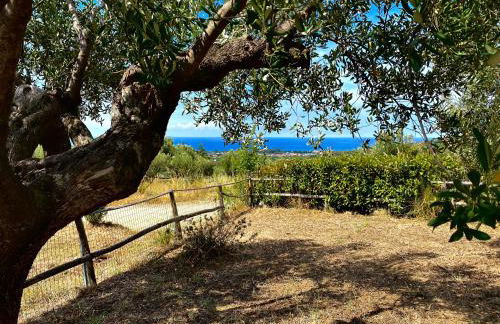 Villa Chiara - Foto 15