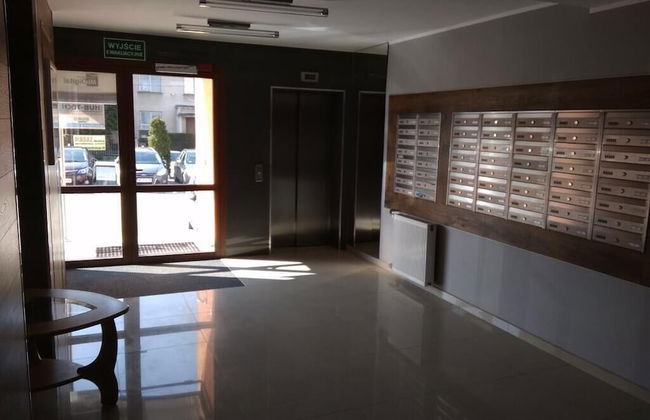 Apartament Jasny Noclegi Płock - Photo 7