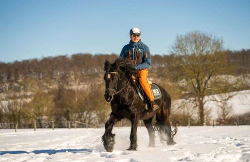 Ferienhof Homann Sauerland - Foto 22