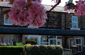 Harrogate 100 - Foto 1