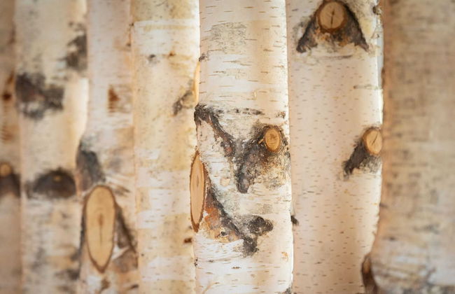 Apartment Near Lake Klopeiner With Sauna - Foto 7