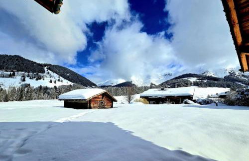 Chalet Côte 2000 ski inski out - Foto 44