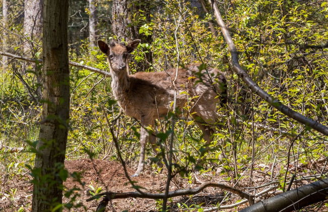 Holiday Home in De Punt With Pool & Garden - Photo 24